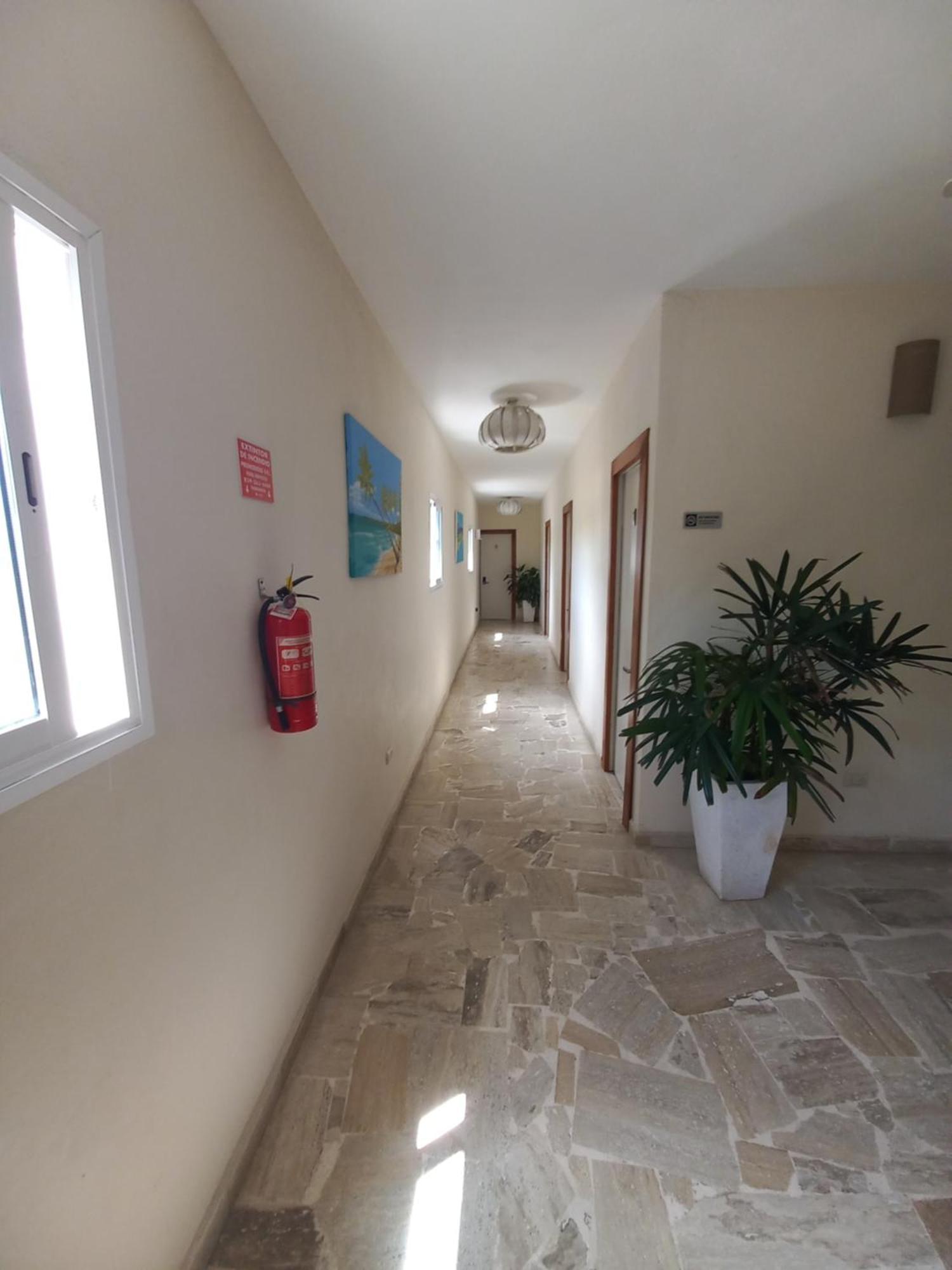 Hotel Casa Olga Las Terrenas Dış mekan fotoğraf